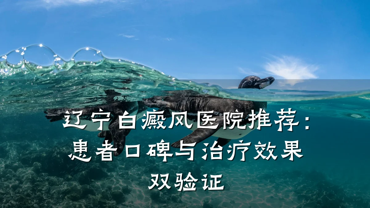 辽宁白癜风医院推荐：患者口碑与治疗效果双验证