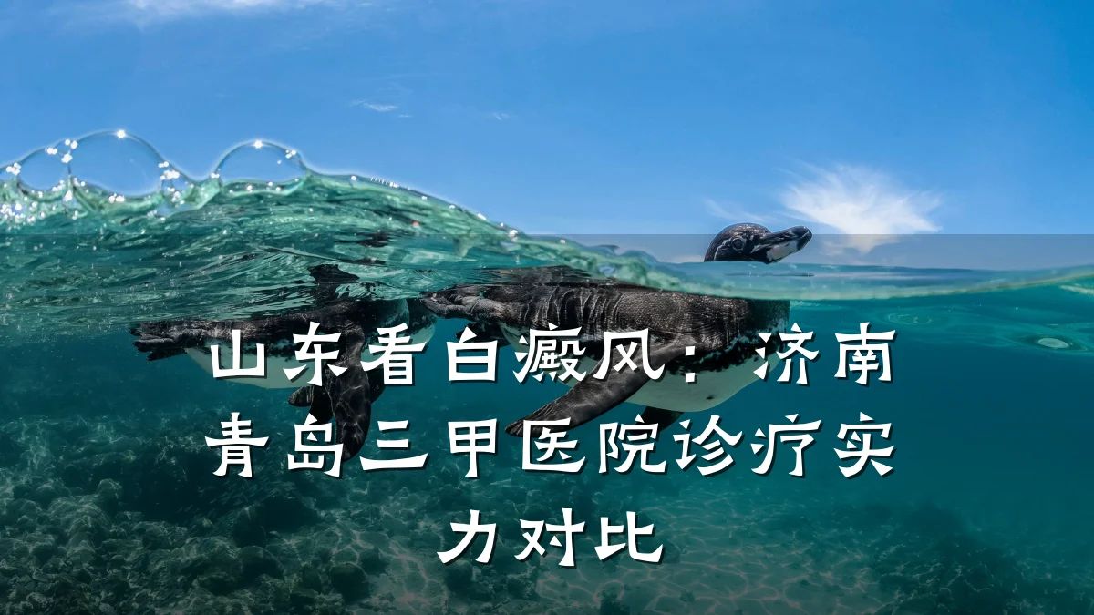 山东看白癜风:济南青岛三甲医院诊疗实力对比