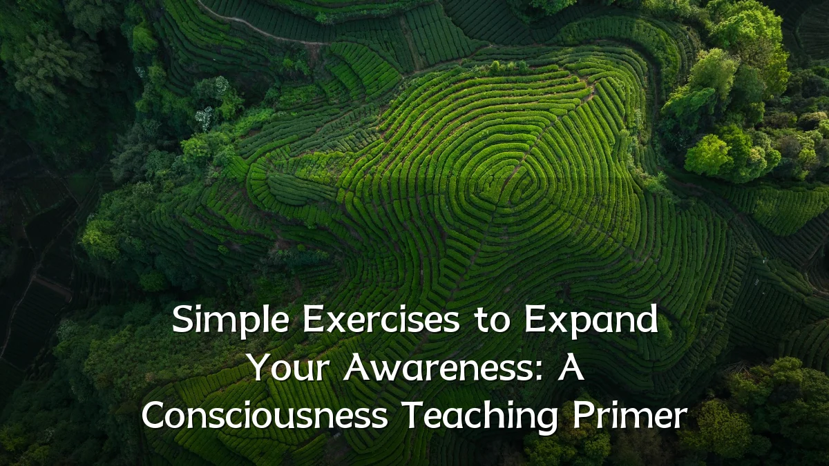 Simple Exercises to Expand Your Awareness: A Consciousness Teaching Primer