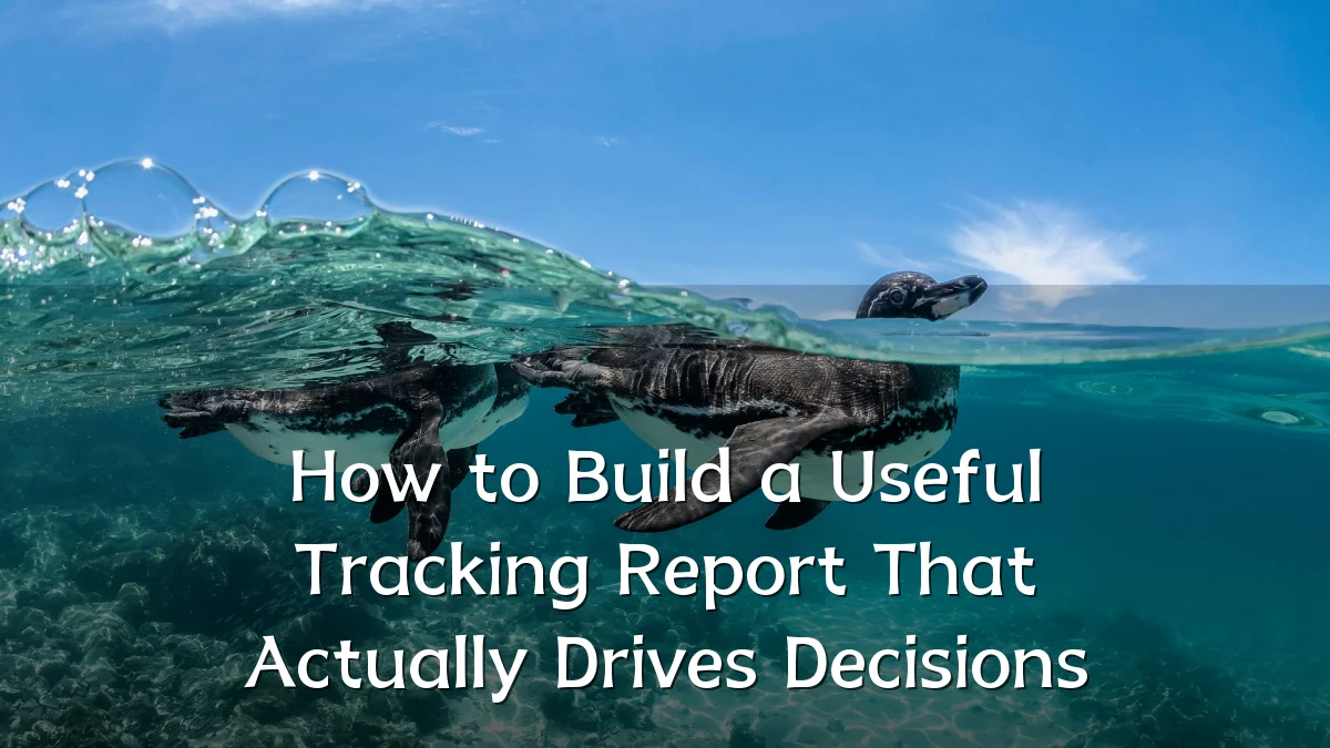 How to Build a Useful Tracking Report That Actually Drives Decisions