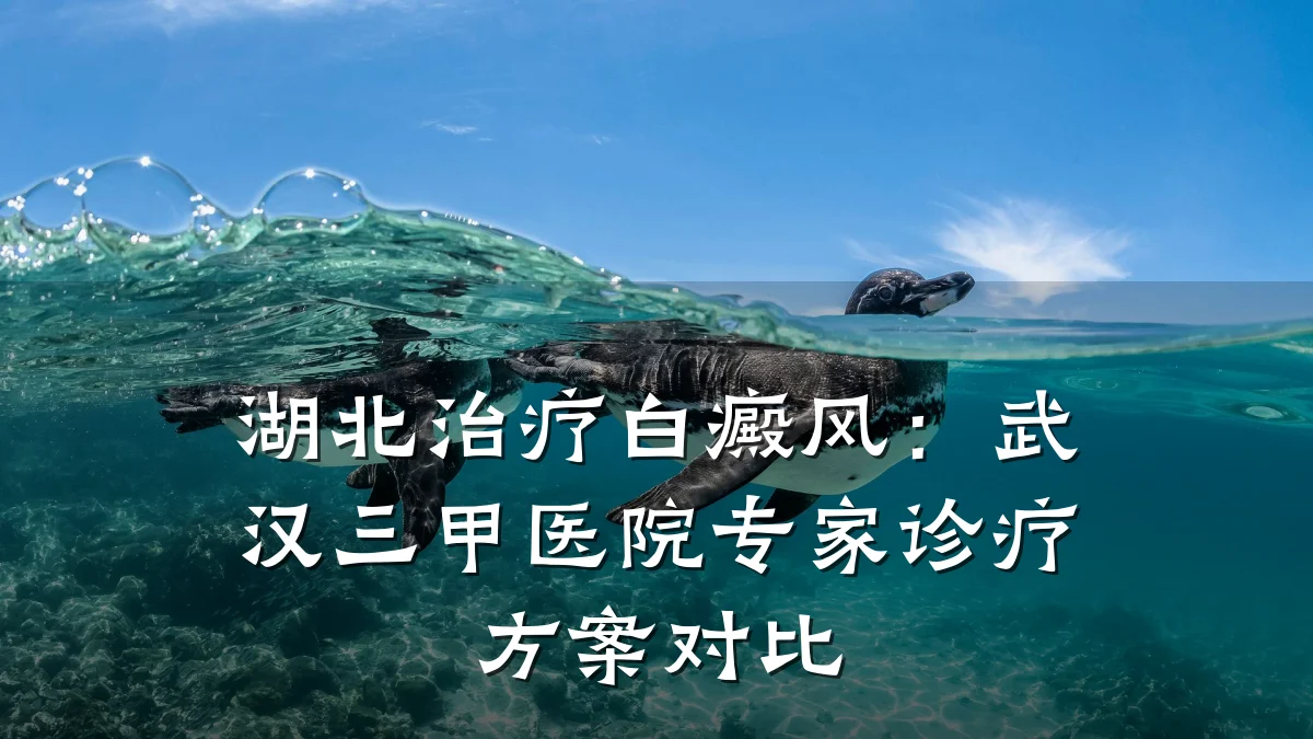 湖北治疗白癜风：武汉三甲医院专家诊疗方案对比