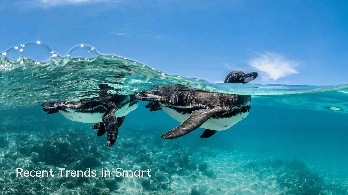 Recent Trends in Smart