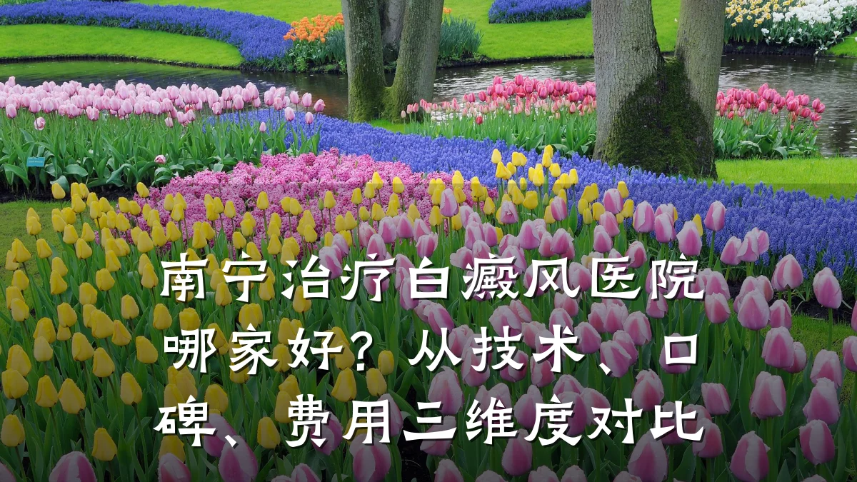 南宁治疗白癜风医院哪家好?从技术、口碑、费用三维度对比