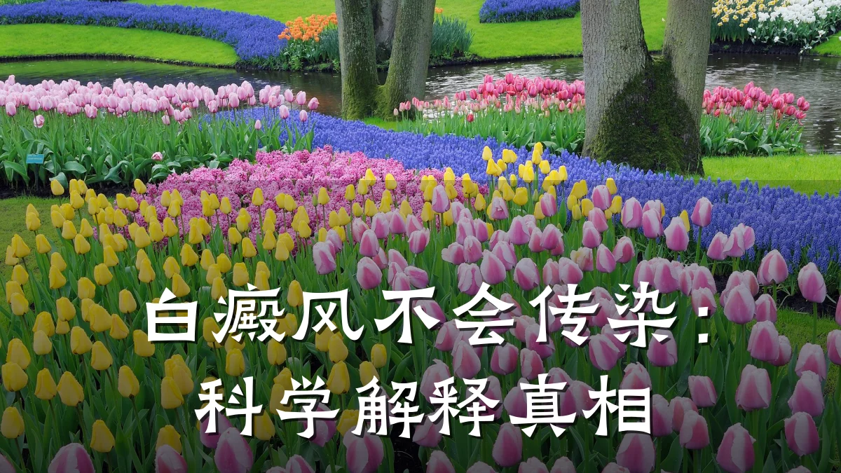 白癜风不会传染:科学解释真相