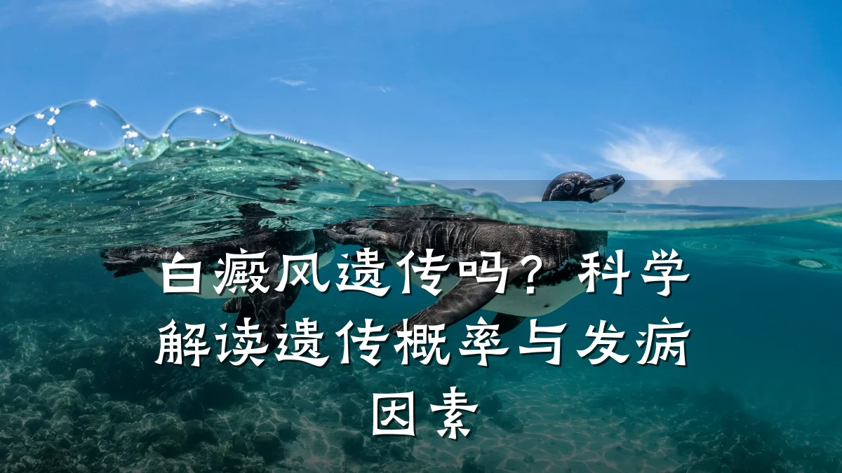 白癜风遗传吗?科学解读遗传概率与发病因素