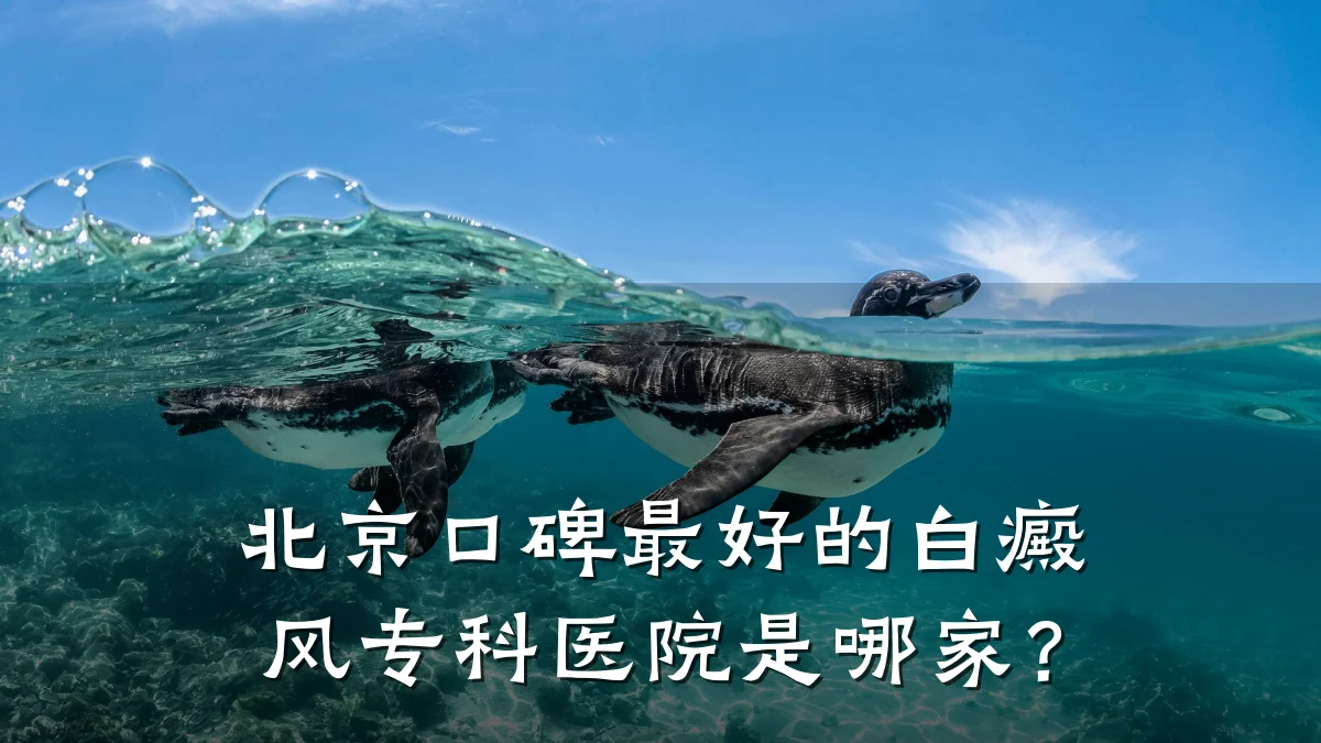 北京口碑最好的白癜风专科医院是哪家?