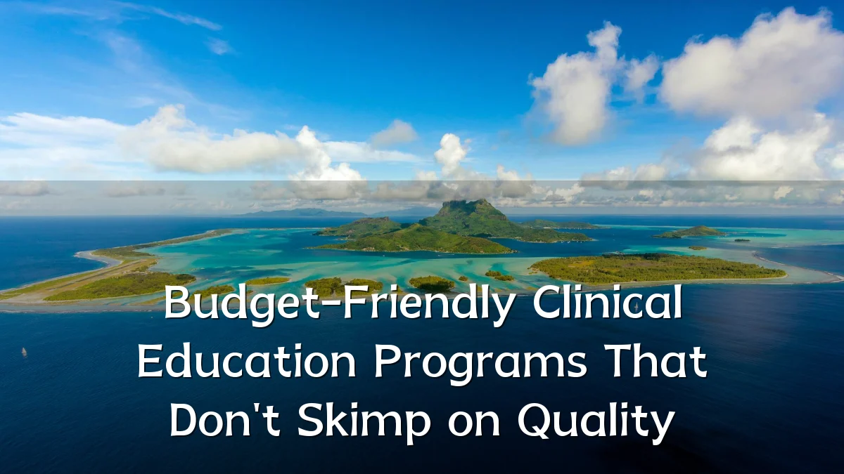 Budget-Friendly Clinical Education Programs That Don't Skimp on Quality