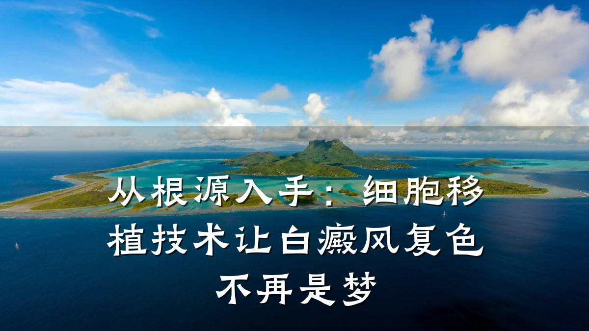 从根源入手:细胞移植技术让白癜风复色不再是梦