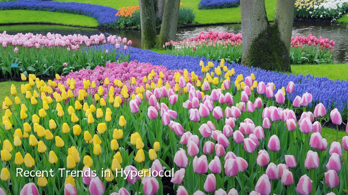Recent Trends in Hyperlocal