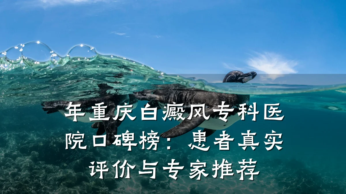 年重庆白癜风专科医院口碑榜:患者真实评价与专家推荐