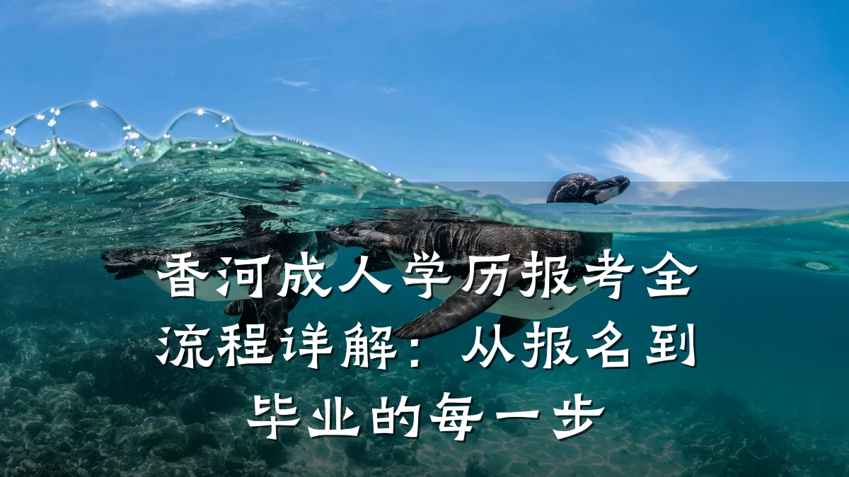 香河成人学历报考全流程详解:从报名到毕业的每一步