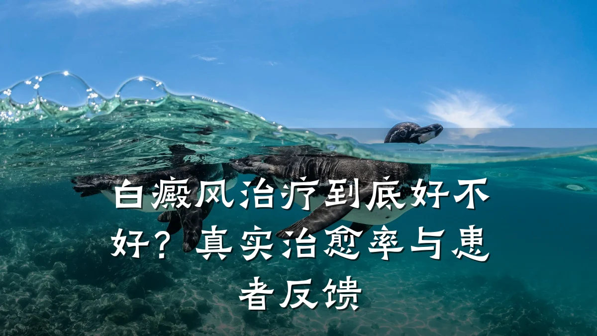 白癜风治疗到底好不好?真实治愈率与患者反馈