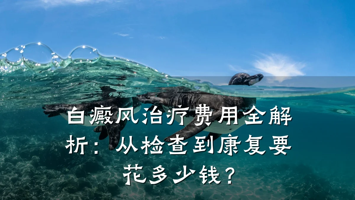 白癜风治疗费用全解析:从检查到康复要花多少钱?
