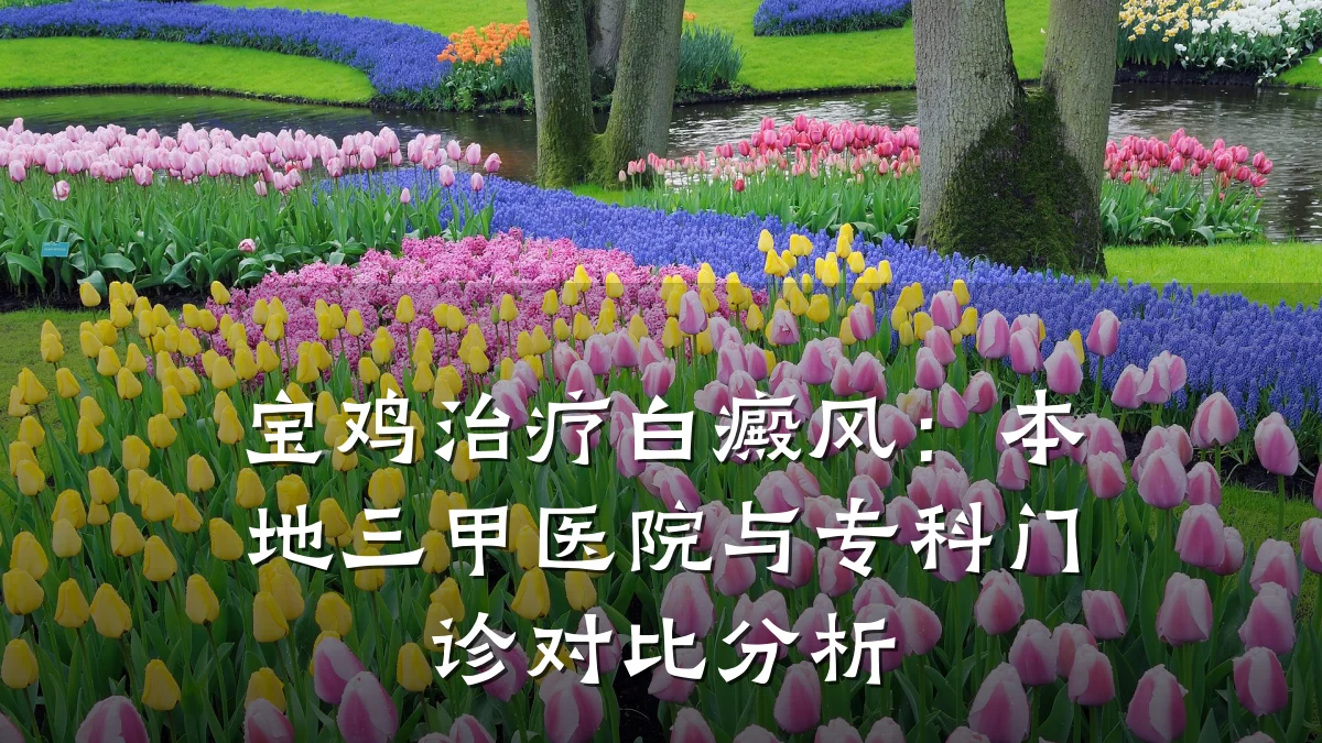 宝鸡治疗白癜风:本地三甲医院与专科门诊对比分析