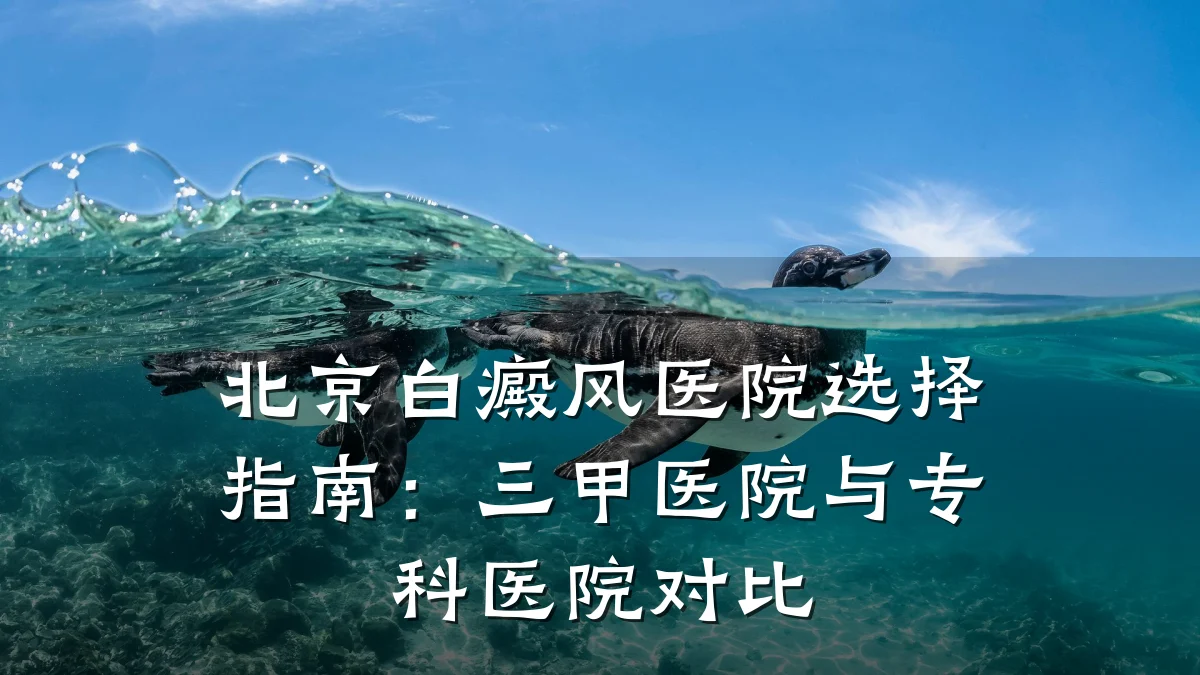 北京白癜风医院选择指南：三甲医院与专科医院对比
