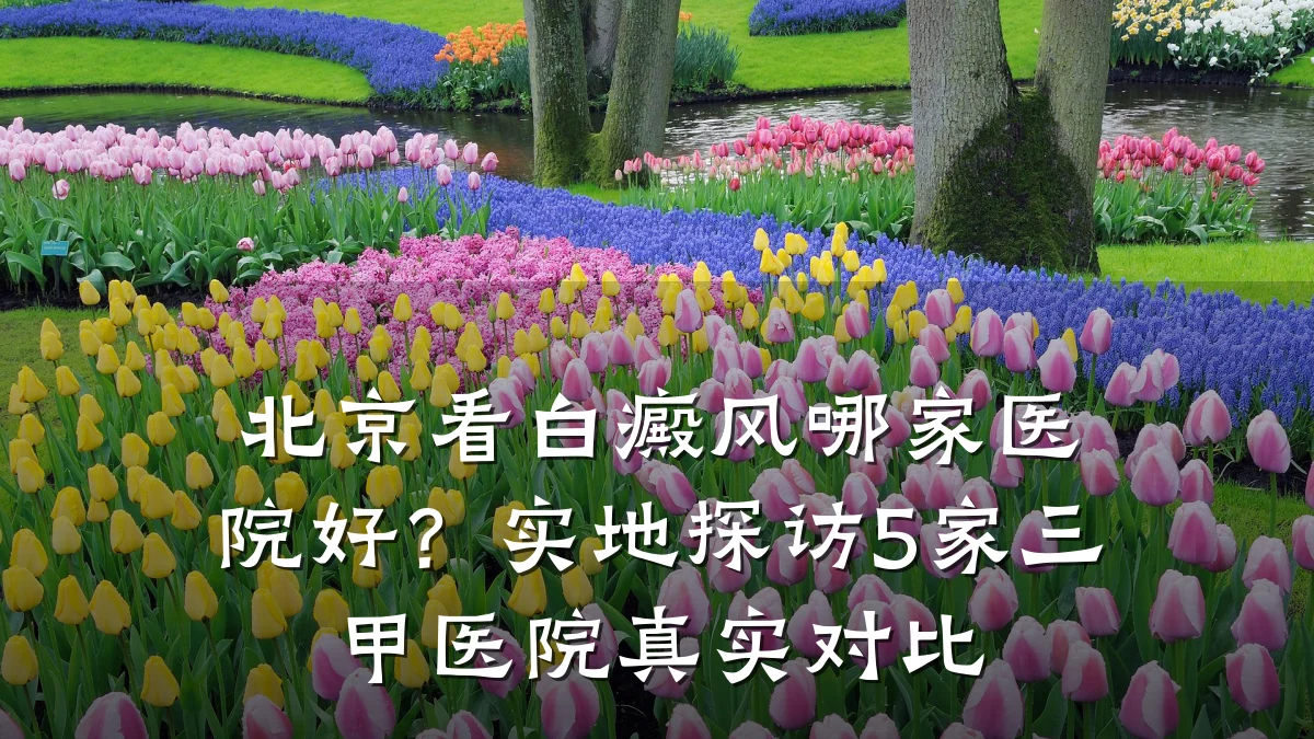 北京看白癜风哪家医院好?实地探访5家三甲医院真实对比