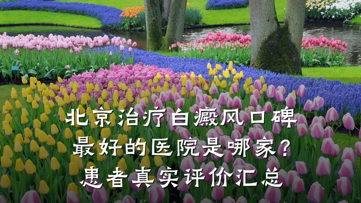 北京治疗白癜风口碑最好的医院是哪家?患者真实评价汇总