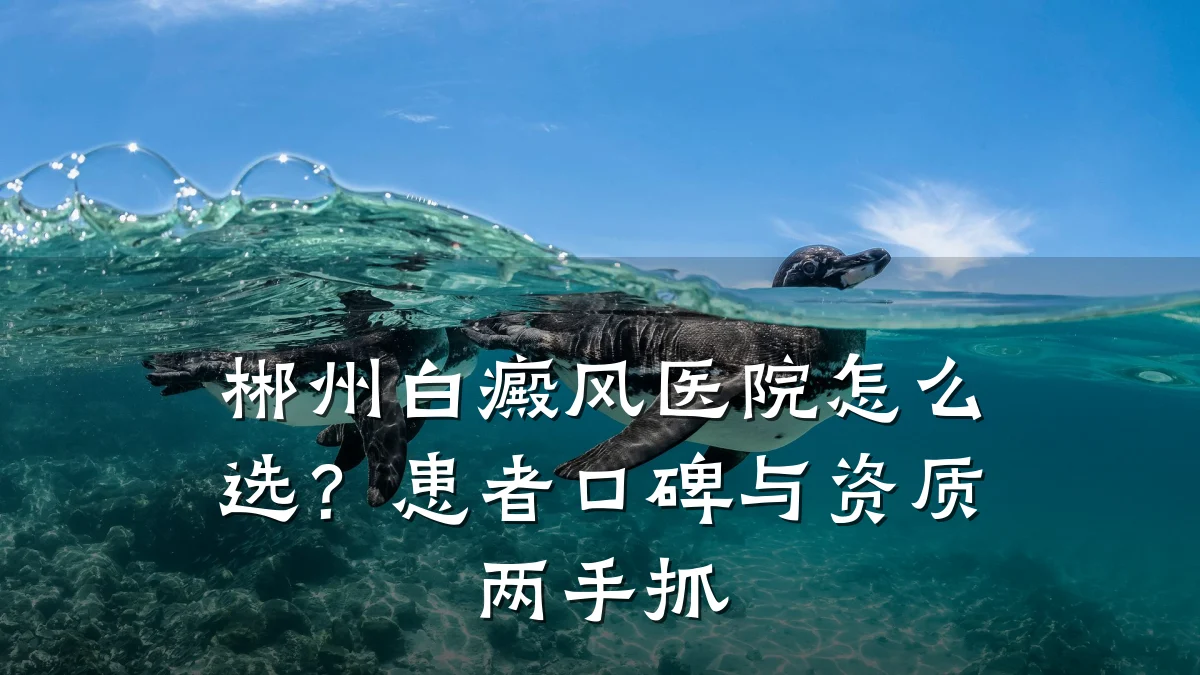 郴州白癜风医院怎么选?患者口碑与资质两手抓