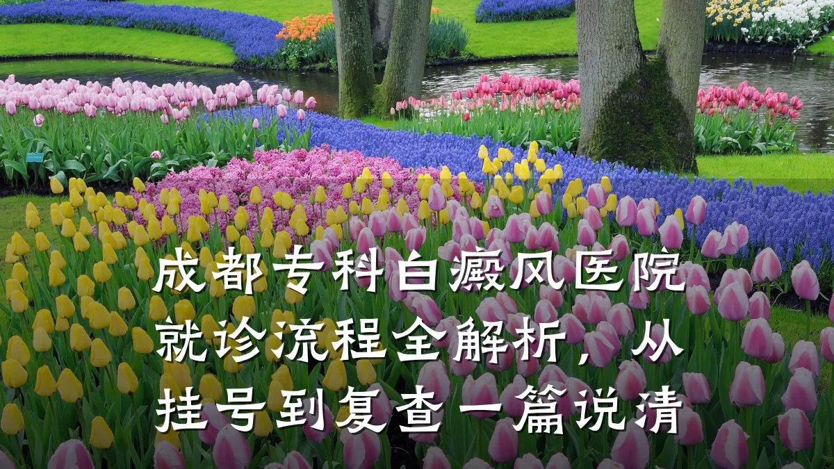 成都专科白癜风医院就诊流程全解析,从挂号到复查一篇说清