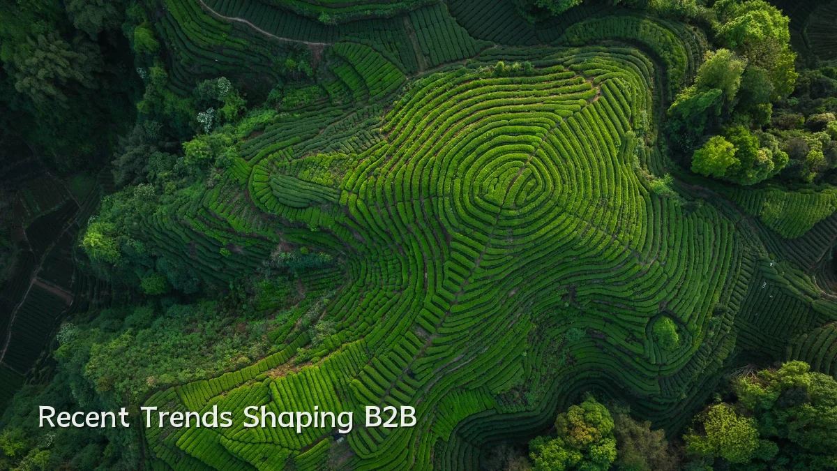 Recent Trends Shaping B2B