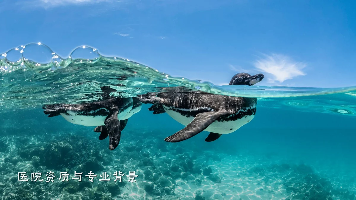 医院资质与专业背景