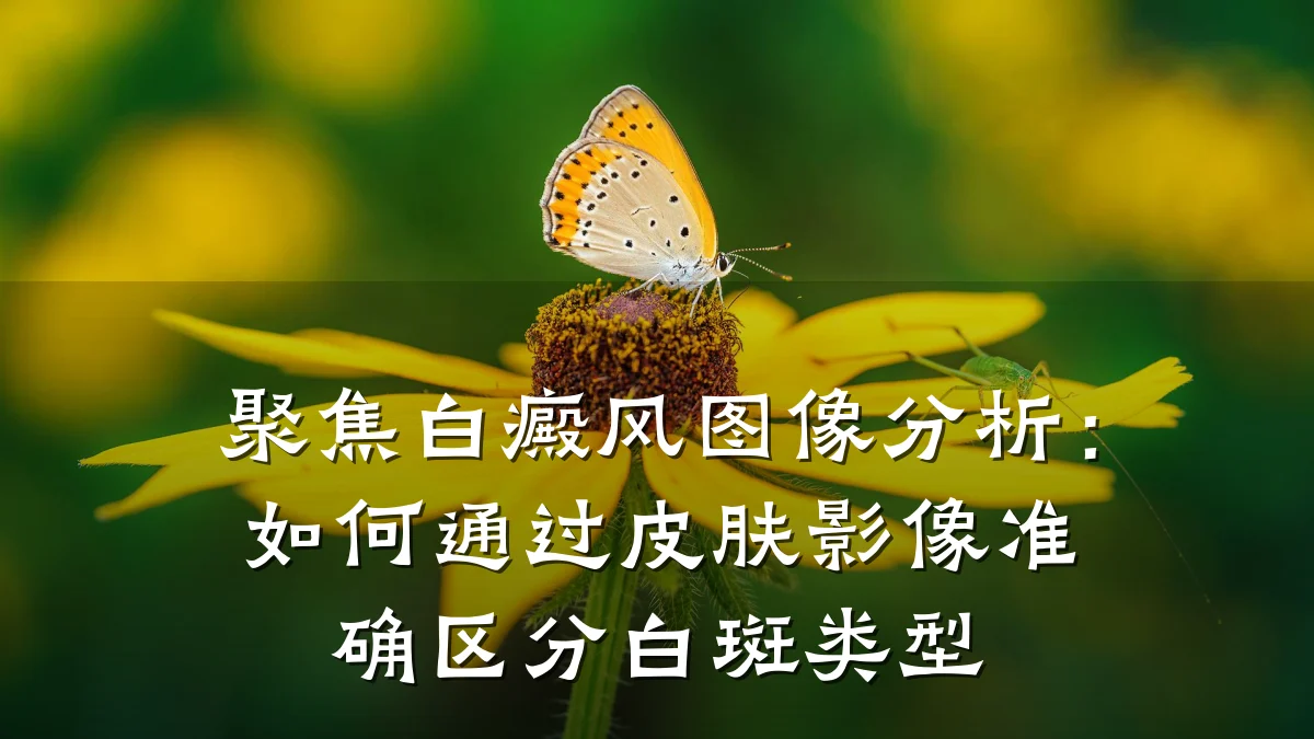 聚焦白癜风图像分析：如何通过皮肤影像准确区分白斑类型