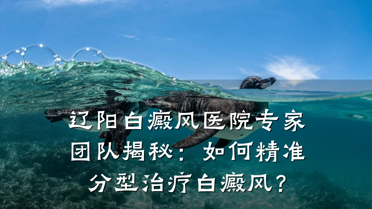 辽阳白癜风医院专家团队揭秘：如何精准分型治疗白癜风？