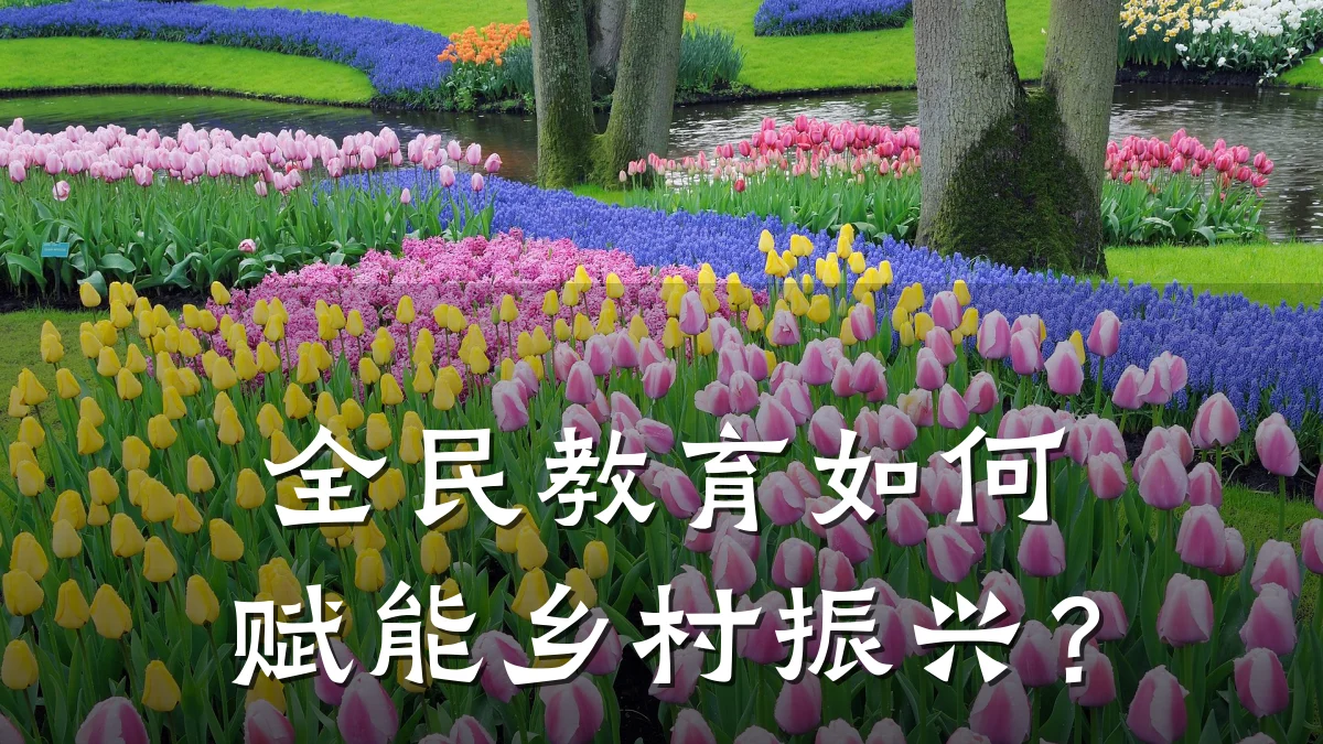 全民教育如何赋能乡村振兴?