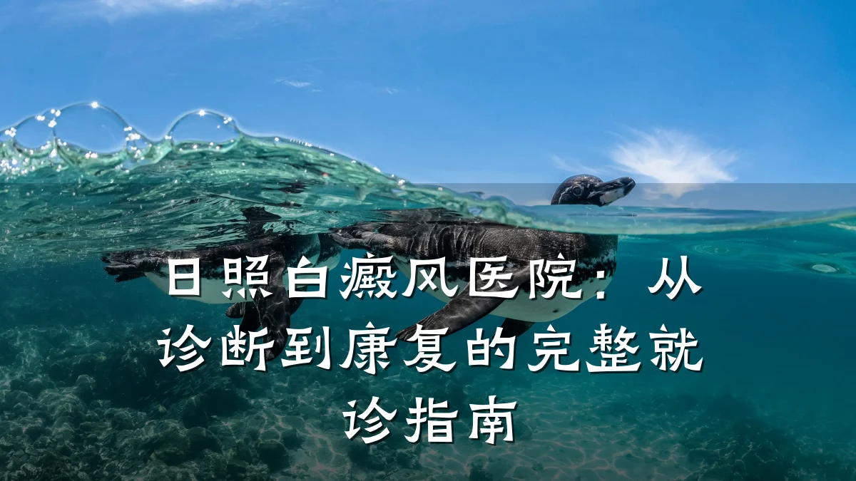 日照白癜风医院:从诊断到康复的完整就诊指南