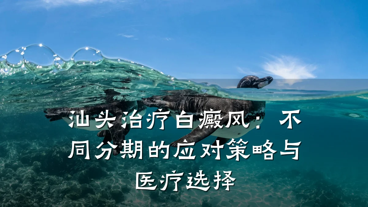 汕头治疗白癜风：不同分期的应对策略与医疗选择