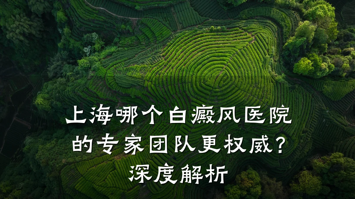 上海哪个白癜风医院的专家团队更权威?深度解析
