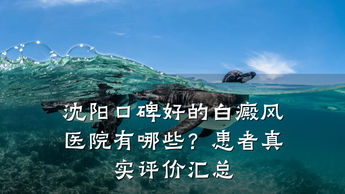 沈阳口碑好的白癜风医院有哪些?患者真实评价汇总