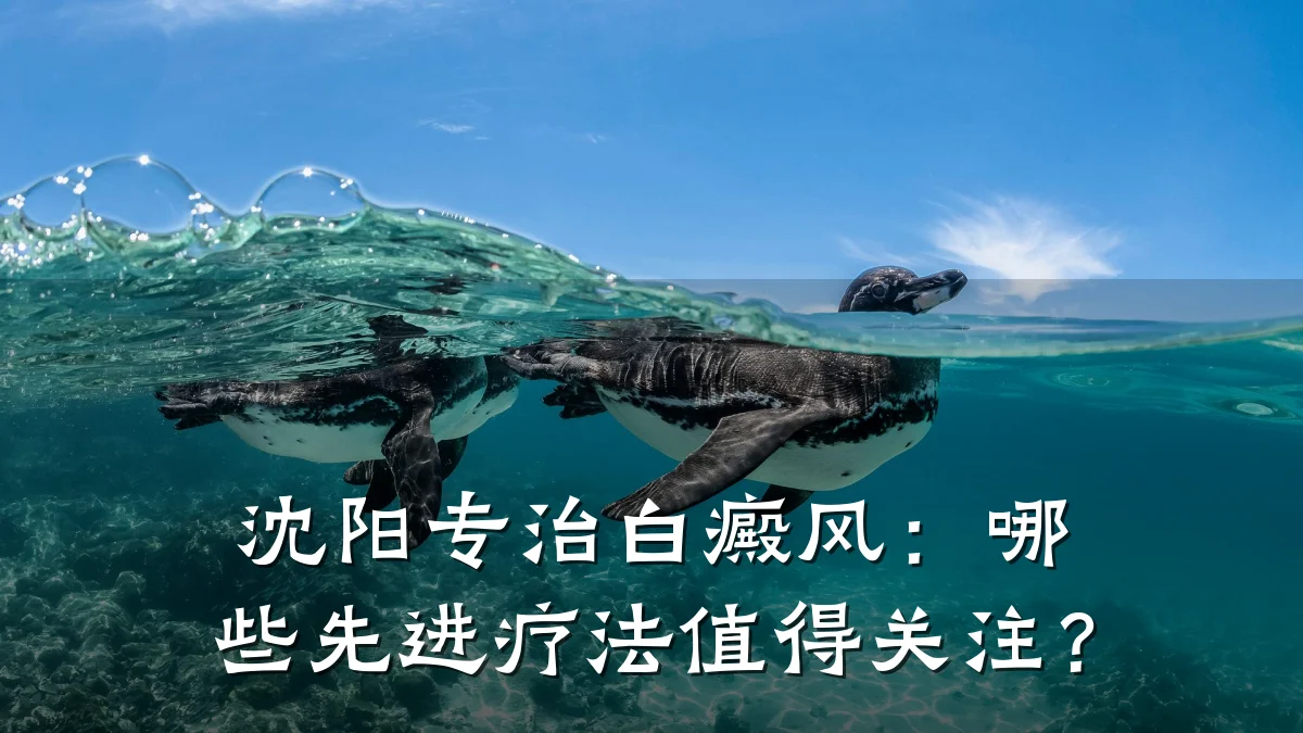沈阳专治白癜风:哪些先进疗法值得关注?