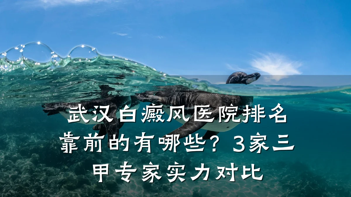 武汉白癜风医院排名靠前的有哪些？3家三甲专家实力对比