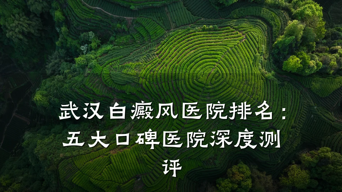 武汉白癜风医院排名:五大口碑医院深度测评