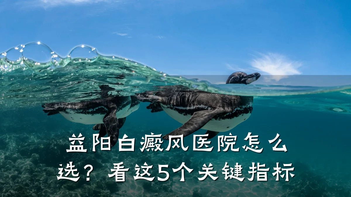 益阳白癜风医院怎么选?看这5个关键指标
