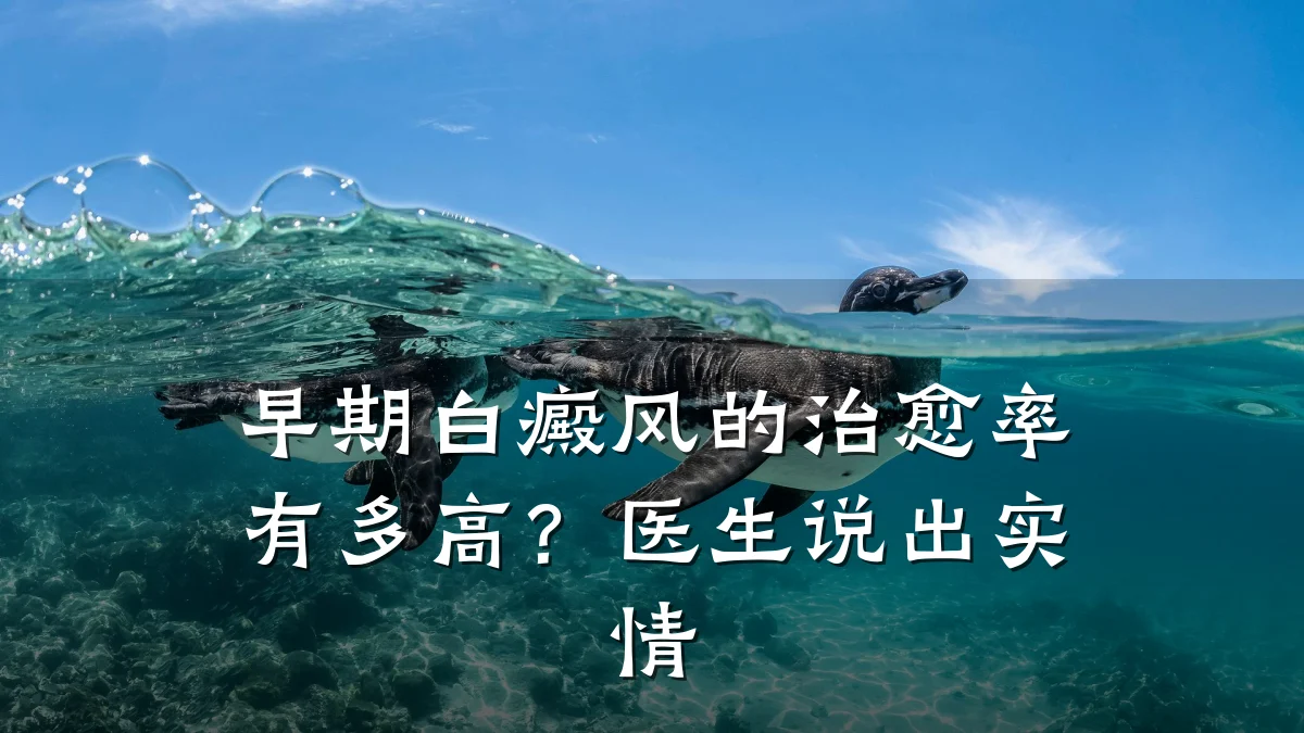 早期白癜风的治愈率有多高?医生说出实情