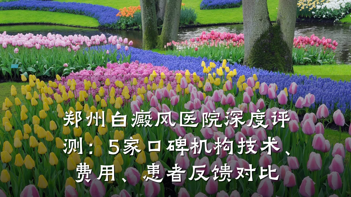 郑州白癜风医院深度评测:5家口碑机构技术、费用、患者反馈对比