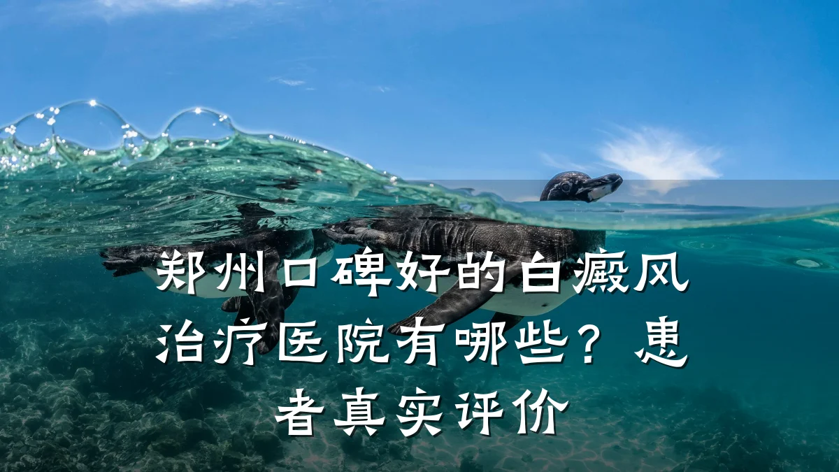 郑州口碑好的白癜风治疗医院有哪些?患者真实评价