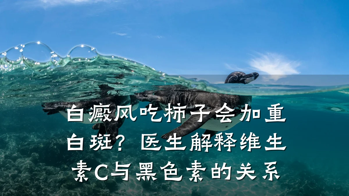 白癜风吃柿子会加重白斑?医生解释维生素C与黑色素的关系