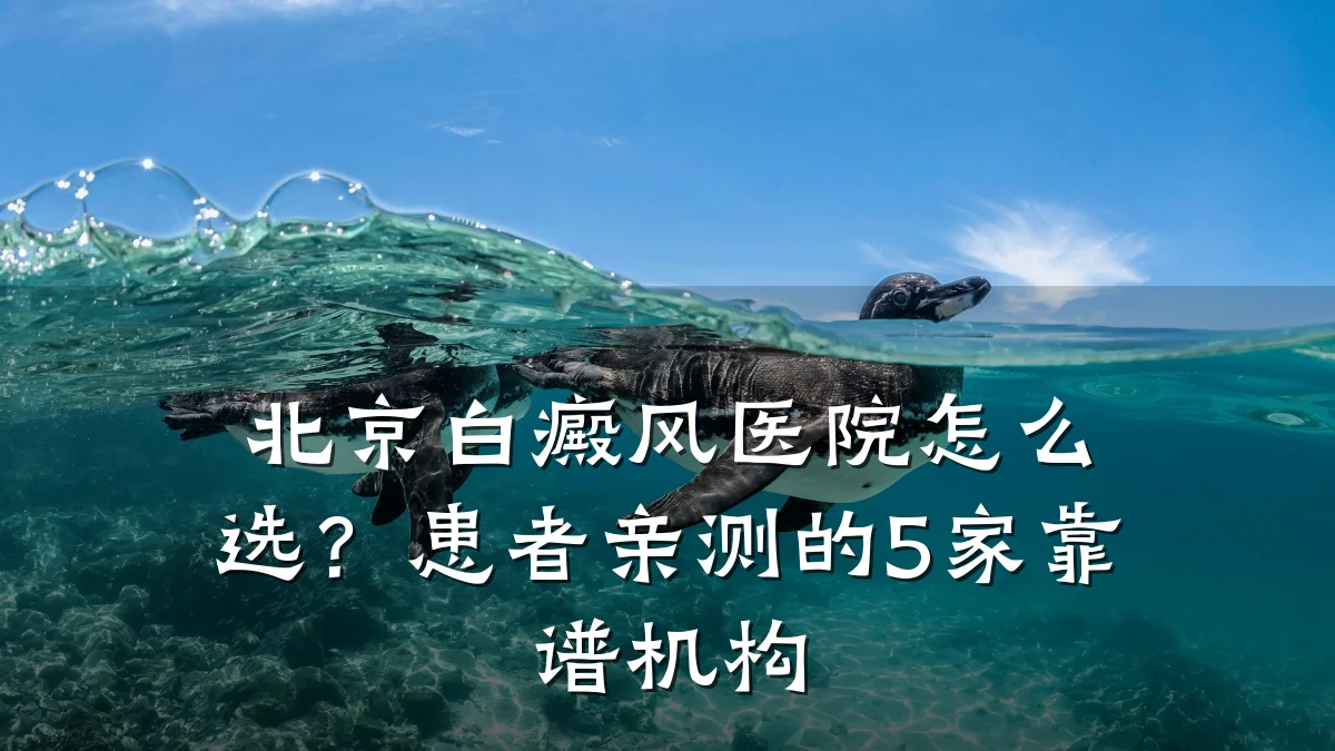 北京白癜风医院怎么选?患者亲测的5家靠谱机构