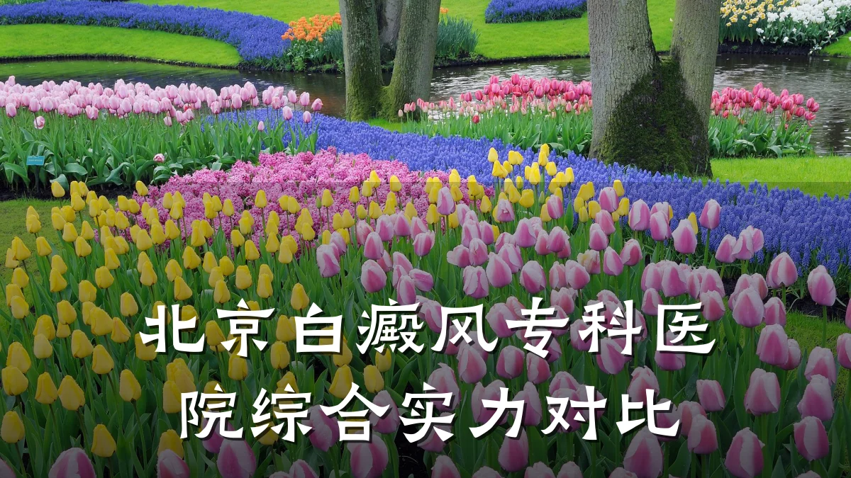 北京白癜风专科医院综合实力对比