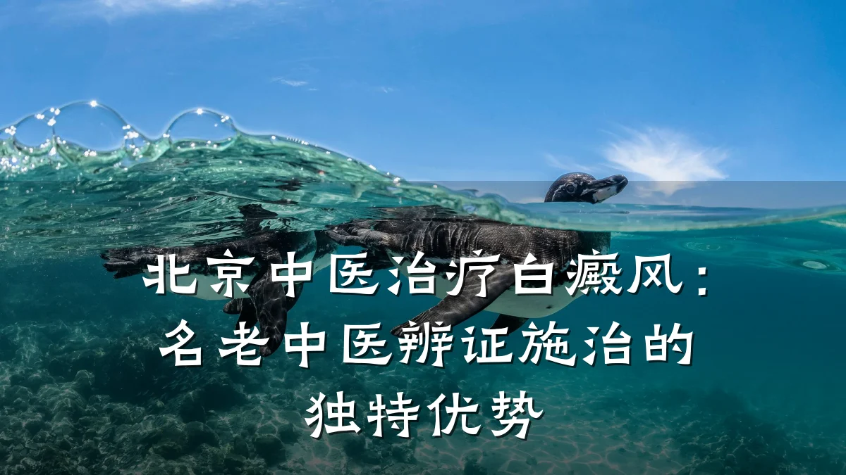 北京中医治疗白癜风：名老中医辨证施治的独特优势
