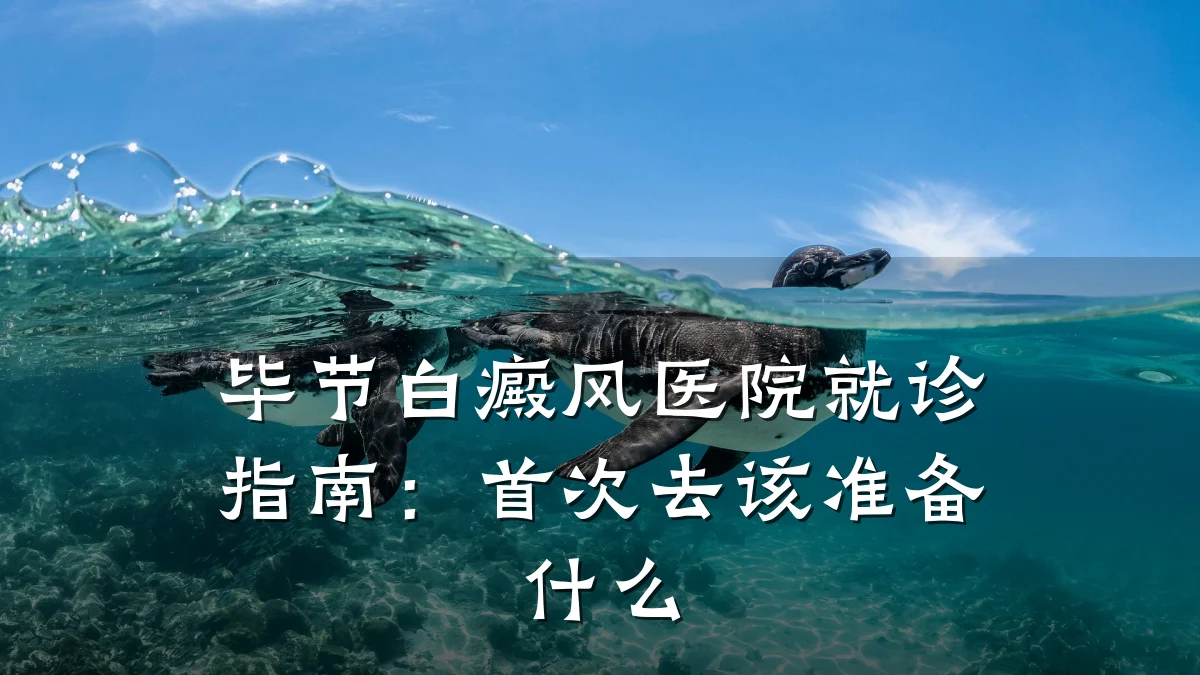 毕节白癜风医院就诊指南:首次去该准备什么