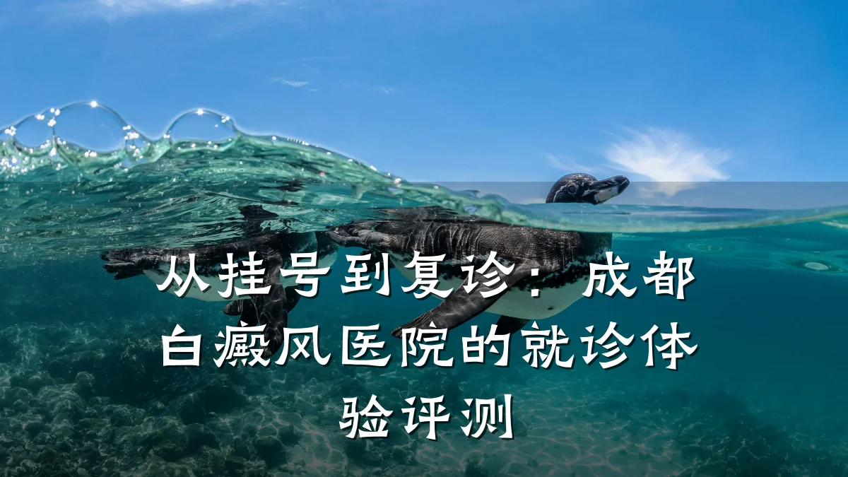 从挂号到复诊:成都白癜风医院的就诊体验评测