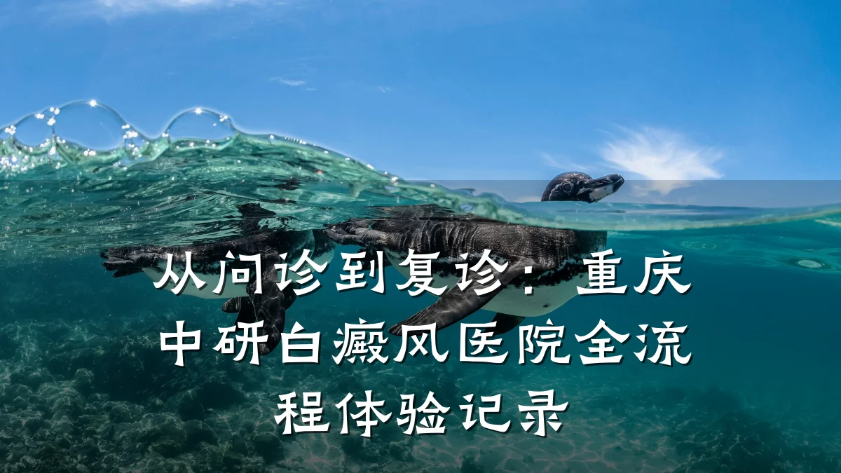 从问诊到复诊:重庆中研白癜风医院全流程体验记录