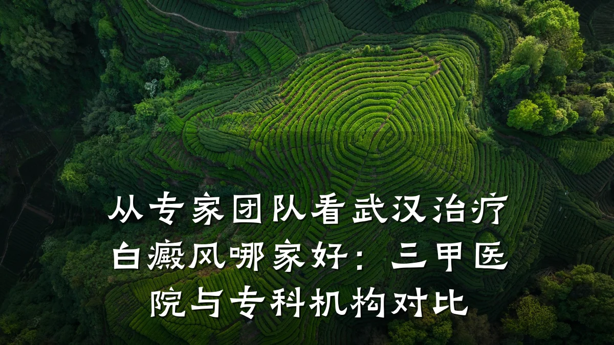 从专家团队看武汉治疗白癜风哪家好：三甲医院与专科机构对比