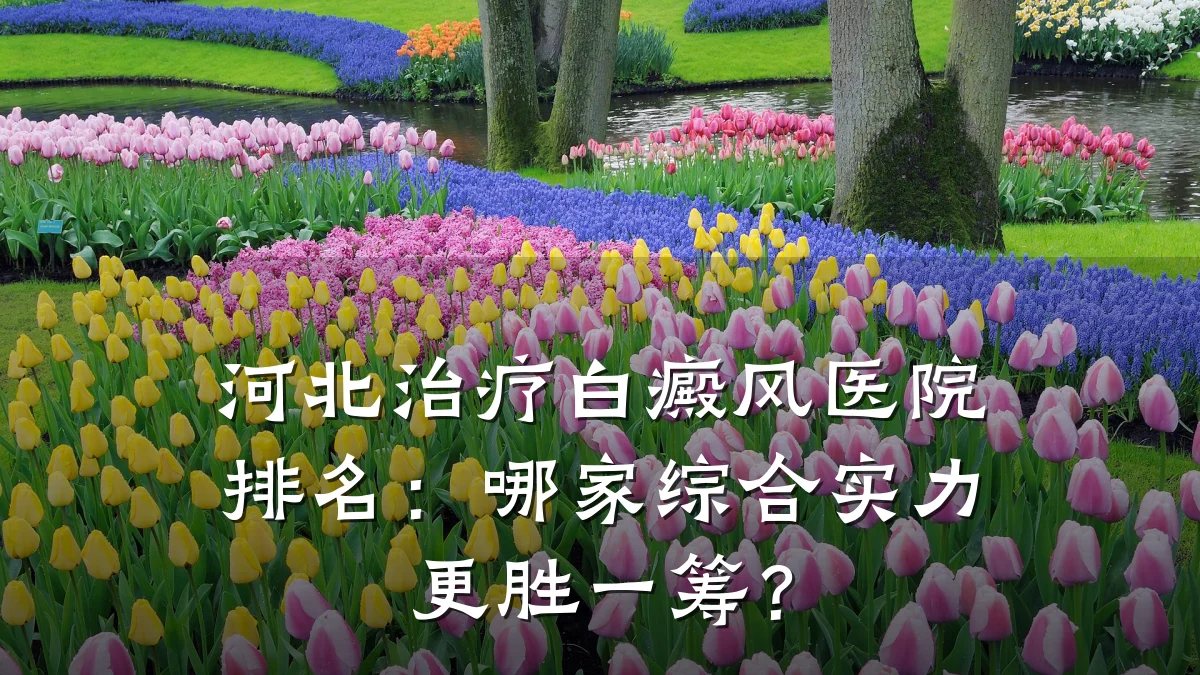 河北治疗白癜风医院排名:哪家综合实力更胜一筹?