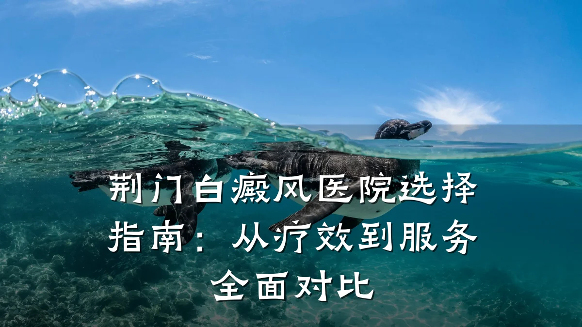 荆门白癜风医院选择指南:从疗效到服务全面对比