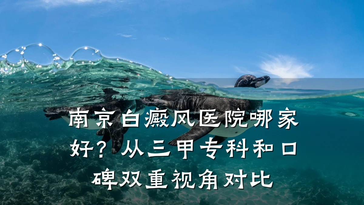 南京白癜风医院哪家好?从三甲专科和口碑双重视角对比